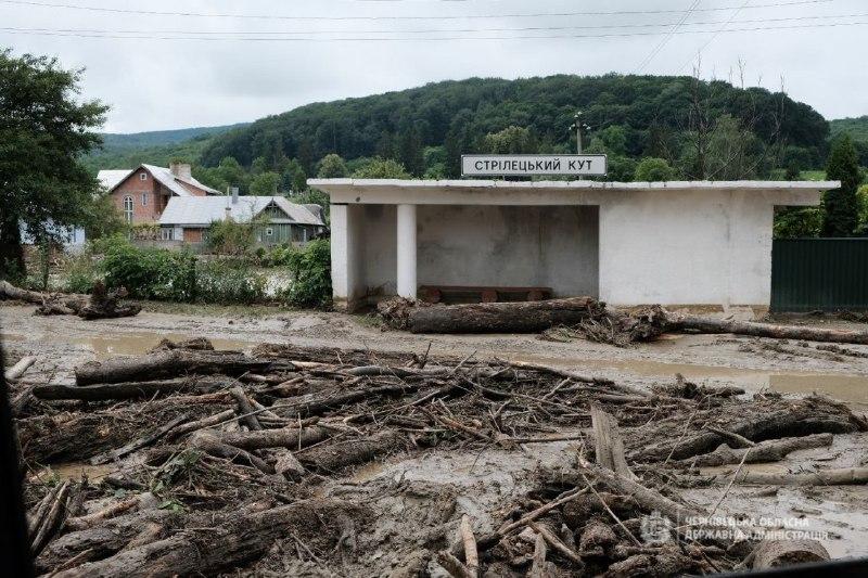 Мене вода несла, я не могла кури позбирати — жителька Буковини