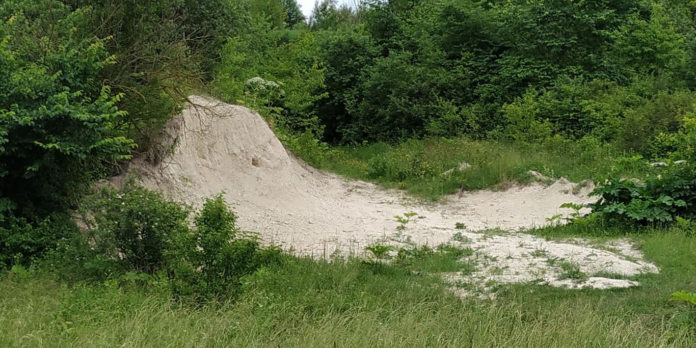 На Волині на місці колишнього монастиря та природних заказників хочуть збудувати полігон твердих побутових відходів, місцеві — проти