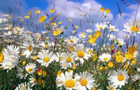 В Укргидрометцентре опубликовали прогноз погоды на июль