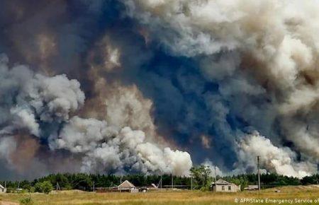 На Луганщині ліквідували лісову пожежу, що виникла 6 липня — ДСНС