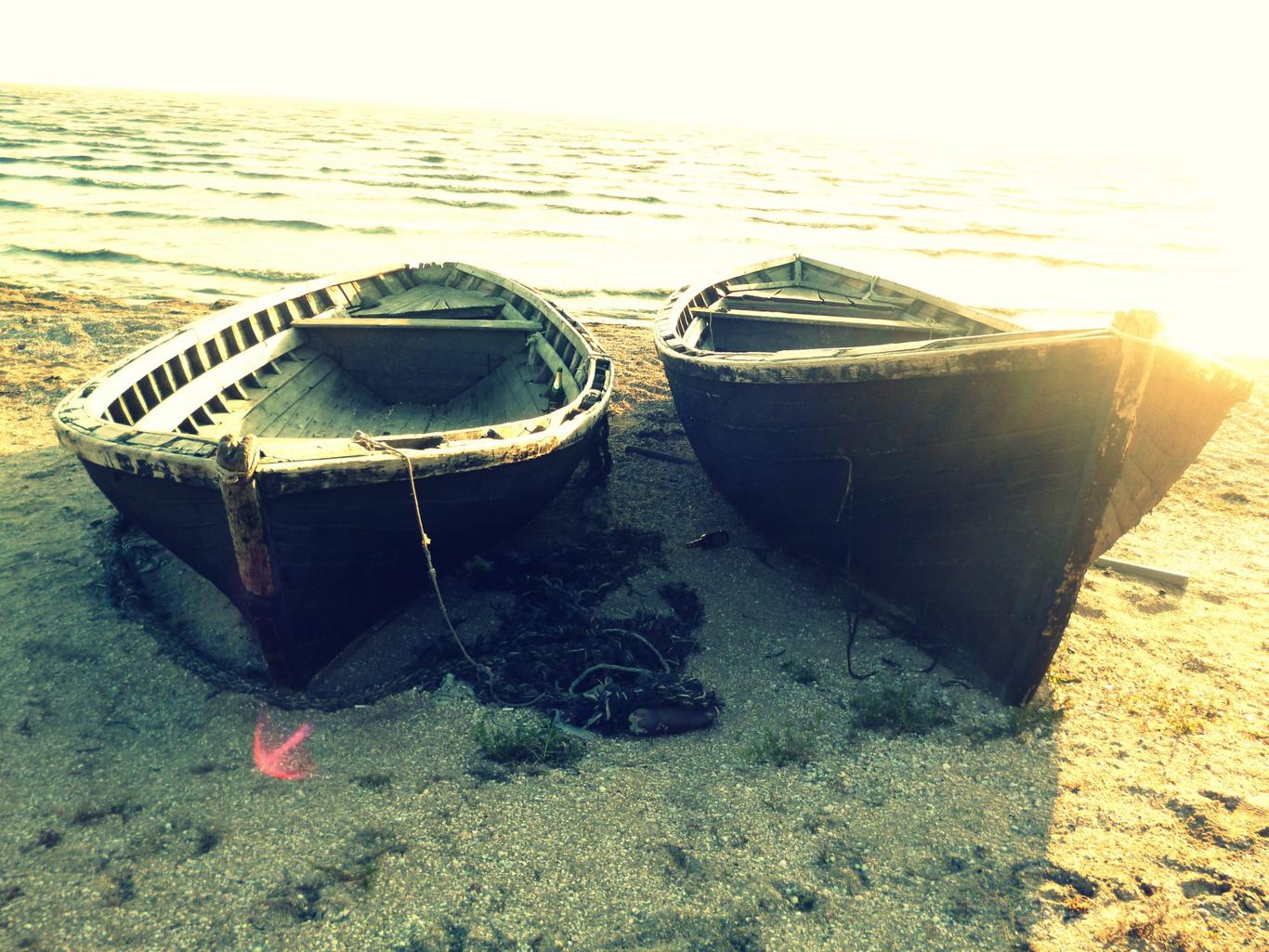 Чиновники починають думати про рибу, коли її в морі вже немає — Олексій Гладун