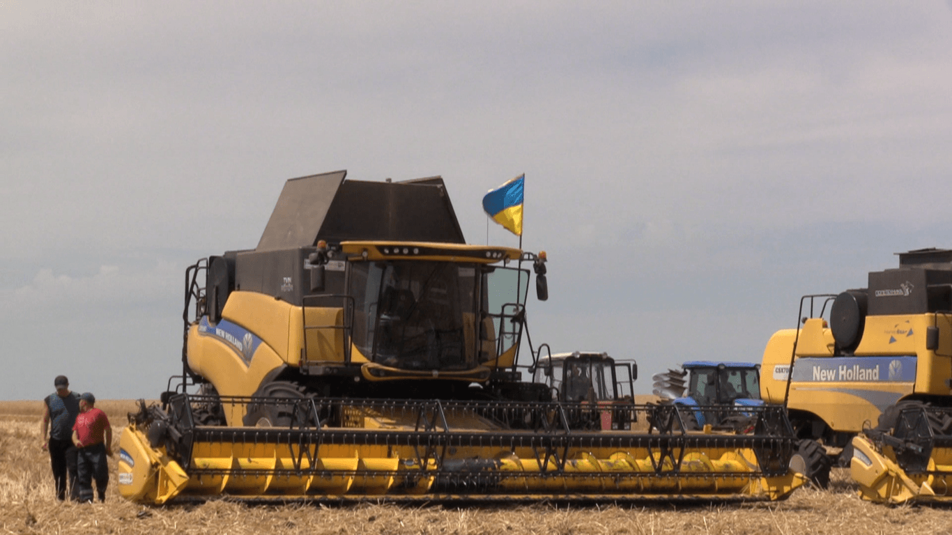 На Луганщині зібрали близько 30% від усіх посівних озимої пшениці