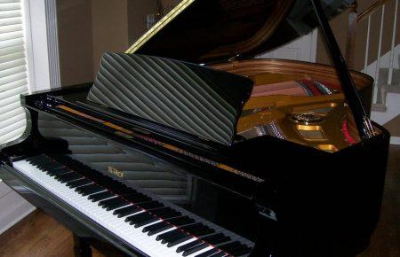 Чешский миллиардер отдаст в школы рояли Petrof, от которых отказался китайский заказчик из-за визита главы Сената на Тайвань