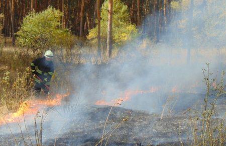 На Луганщині палає ліс, евакуюють людей найближчих сіл (ВІДЕО)
