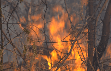 Лісова пожежа «підпалила» склад із порохом в Росії