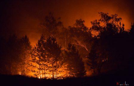 На Луганщині рятувальники продовжують гасіння 64 осередків пожеж — Чалий