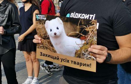 «Твоя шуба кричала перед смертью» — в центре Киева прошла акция в защиту прав животных