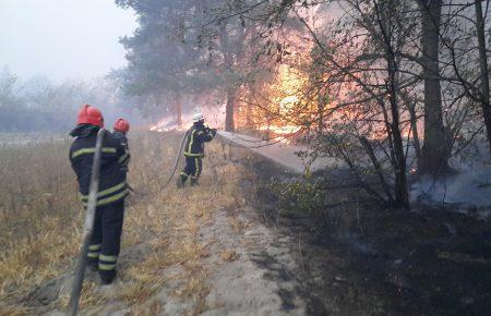 Пожежі на Луганщині: Кількість жертв збільшилась до 9