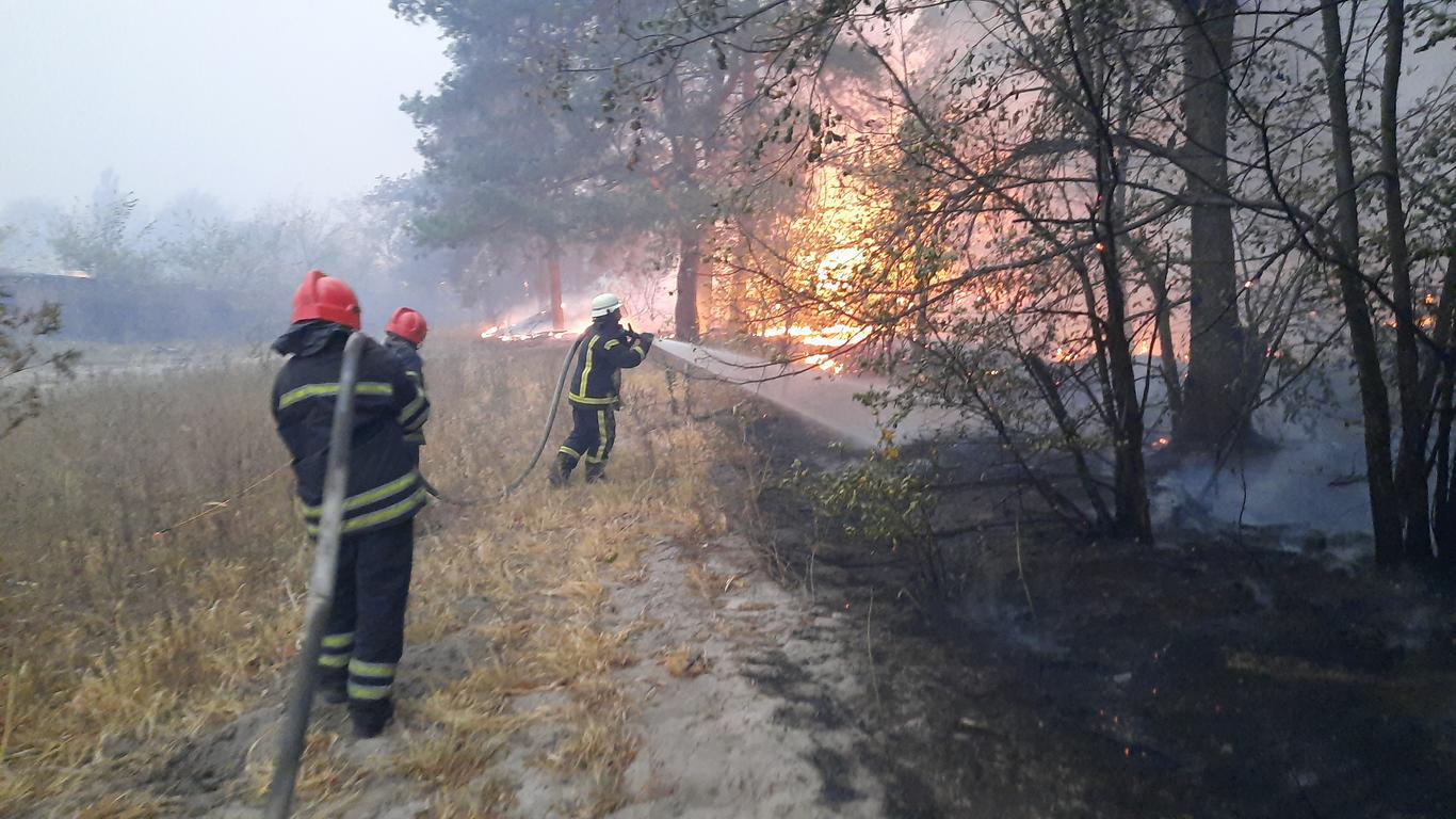 Пожежі на Луганщині: Кількість жертв збільшилась до 9