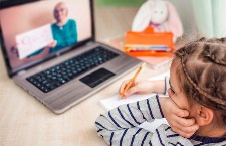 Повністю на дистанційне навчання вже перейшли 315 закладів освіти — представник Міносвіти