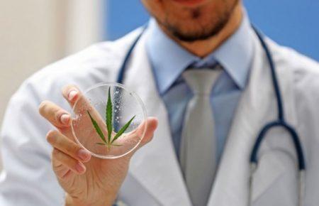 «Для полегшення болю пацієнтів» — у Зеленського розповіли про необхідність легалізації канабісу