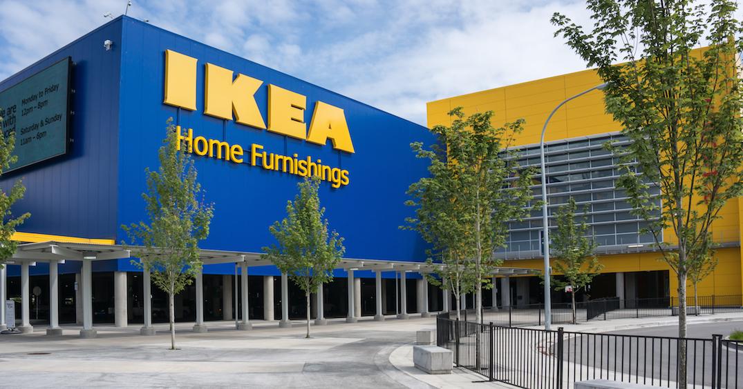 Компанія IKEA не виявила у своїх поставках незаконно заготовленої деревини з України