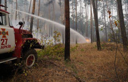 У Луганській області ліквідували найбільший осередок пожежі