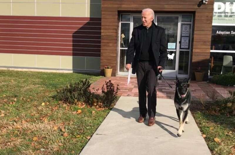 Байден планує переїхати до Білого дому разом із двома своїми собаками