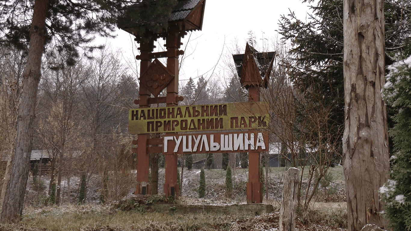 Дуже цінний і потребує жорсткої охорони — еколог про Нацпарк «Гуцульщина»