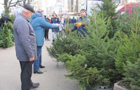 Українські лісгоспи почали продаж новорічних ялинок