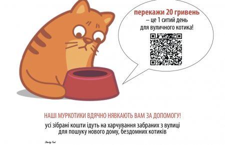 У черкаських кав'ярнях за допомогою QR-коду можна перерахувати гроші на корм котам