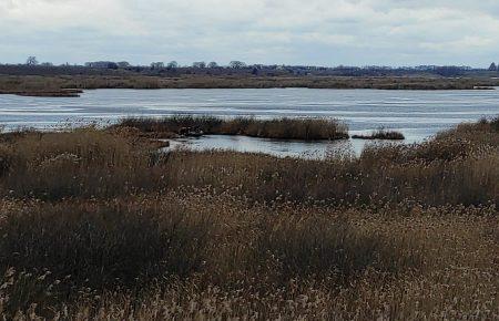 Личные вещи обнаружили на льду: на Киевщине исчез рыбак — ГСЧС