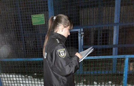 На Чернігівщині у зоопарку тигр напав на працівника, чоловік помер на місці