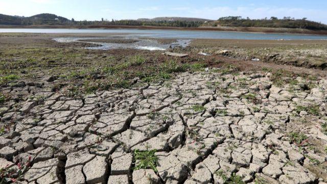 Під Азовським морем немає достатніх запасів прісної води, щоб дати її Криму — науковець