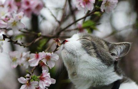 Джаз, рок, реп: розвиваємо весняну тему в «Порі року»