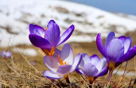 «Вясна»: відкриваємо сезон весняною музикою