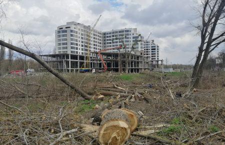 У Хмельницькому задля нового скверу спиляли 24 дерева, які росли там пів століття