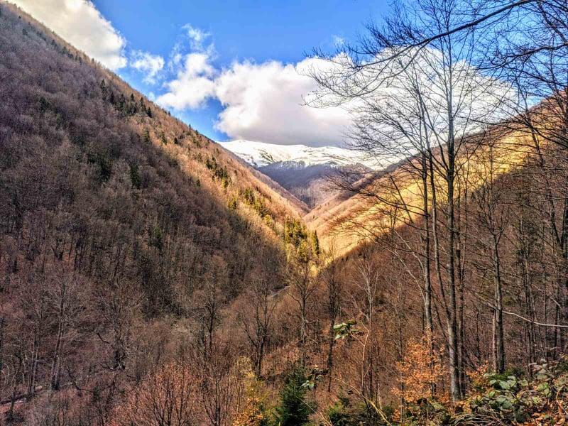 Заблудился в горах 13 февраля: на Закарпатье спасатели нашли тело туриста из Киева