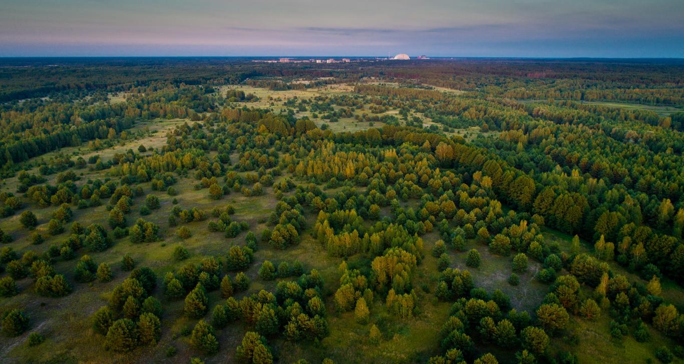 У зоні відчуження спить «дракон» — експерт