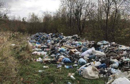 У Києві в кожному районі є по 3-6 стихійних сміттєзвалищ — Олексій Кулеба