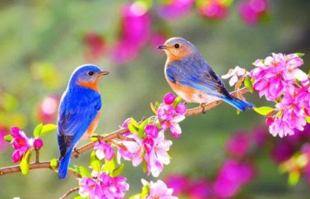 Музика початку травня: дебюти в «Порі року» і не тільки