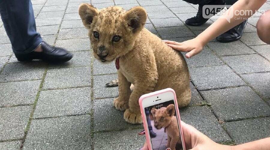 Заборона на фотопослуги з тваринами має бути максимально пряма, тоді поліція зможе працювати з такими справами — засновник руху UAnimals