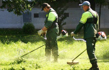 У місті відбувається перегрів: чому косити траву — шкідливо для довкілля?