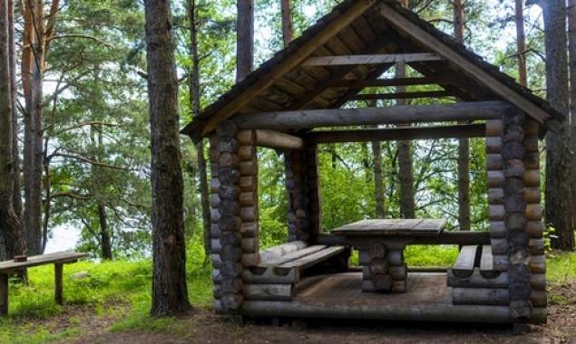 На территории столичных лесов обустроили 42 зоны для пикника (карта)