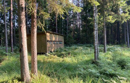 В Эстонии из хижины можно понаблюдать за медведями: этот вид туризма набирает популярность (фото, видео)