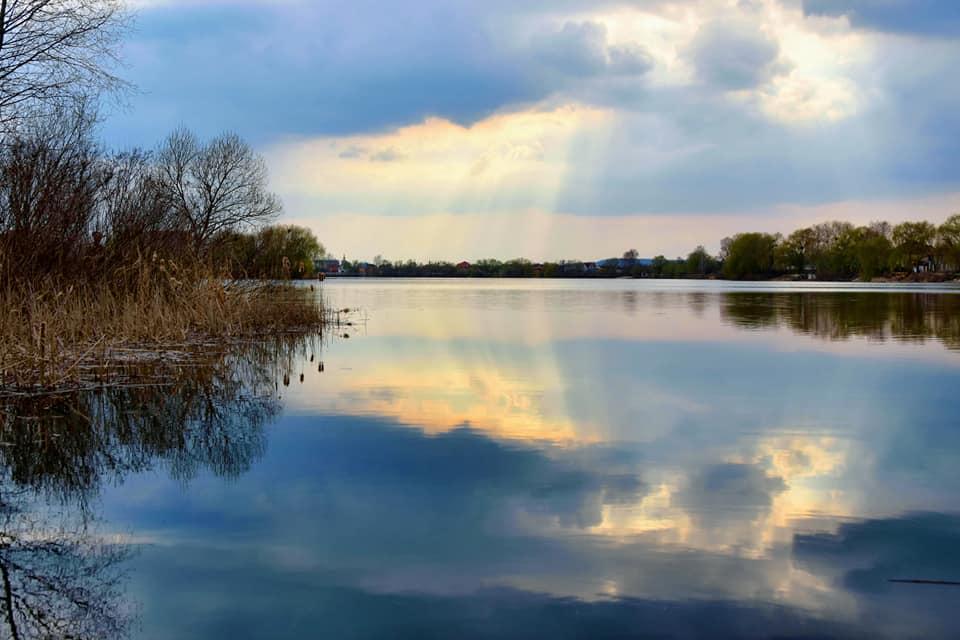 Озера будуть неживі та перетворяться на калюжі — активіст про забудову екопарку Осокорки