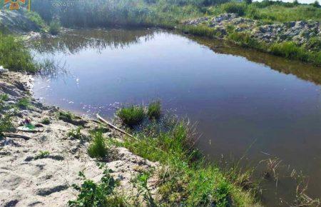 На Чернігівщині у ставку потонули двоє неповнолітніх братів