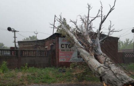 На Запоріжжі через обрив електропроводів загинули двоє людей