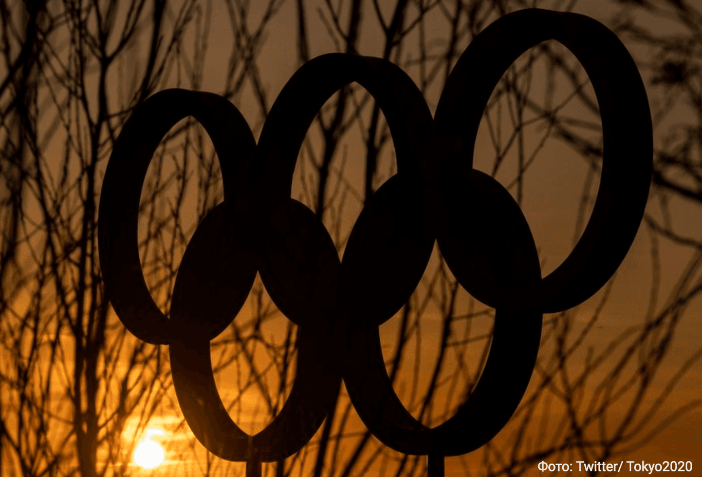 На Олимпийских играх немецкие гимнастки выступили в комбинезонах вместо трико (фото)