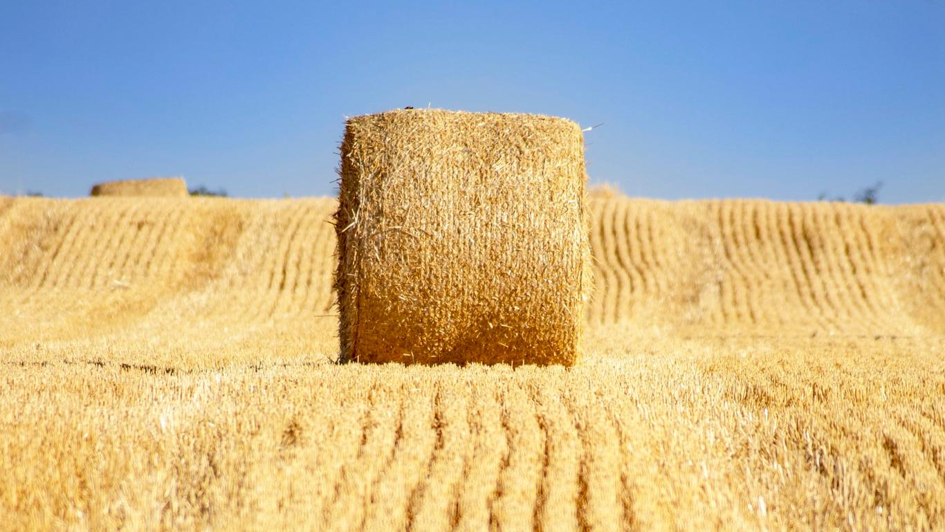 Нині Україна виглядає як класичний варіант колоніальної економіки — економіст