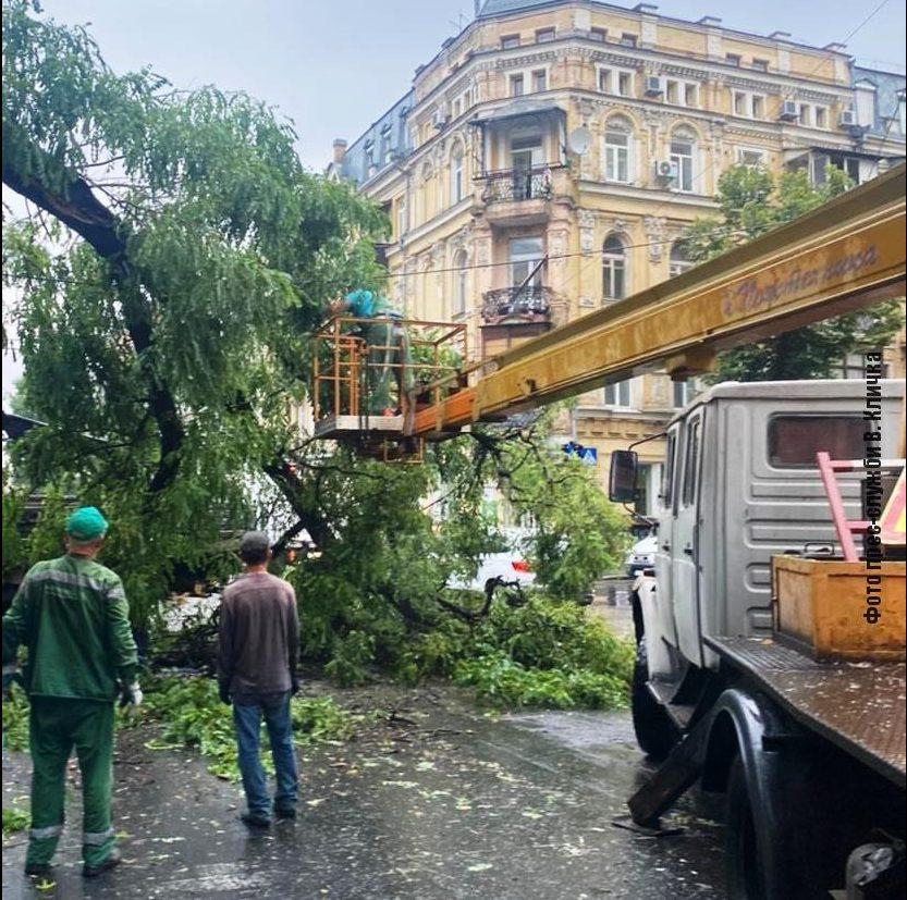 В Киеве во время непогоды упали 150 деревьев — КГГА (фото) 