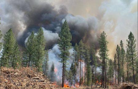 Масштабні пожежі у США: вогонь охопив сотні тисяч гектарів лісу (ФОТО)