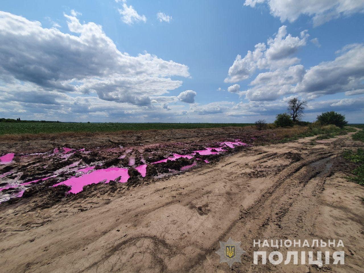 Поліція відкрила кримінальне провадження через рожеві калюжі під Рівним