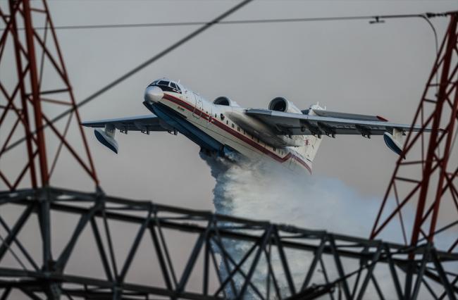 У Туреччині вигоріли 30 гектарів лісу на узбережжі Егейського моря