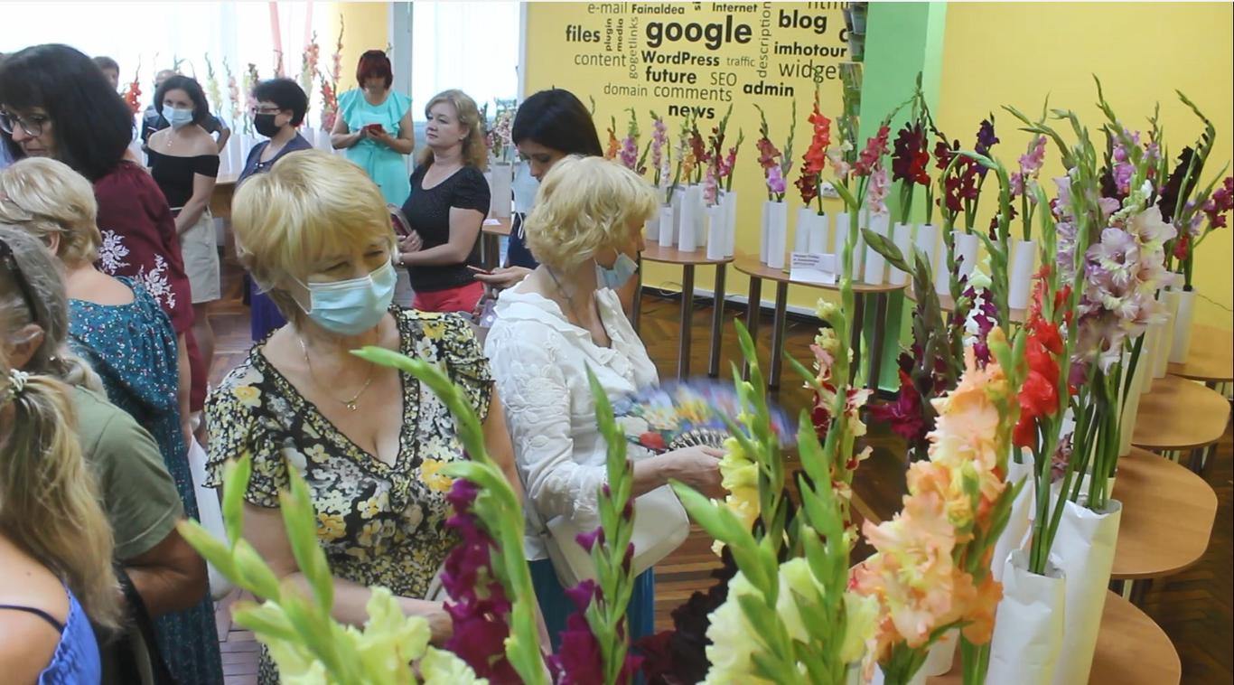 В Олександрії представили близько пів тисячі сортів гладіолусів (фото)