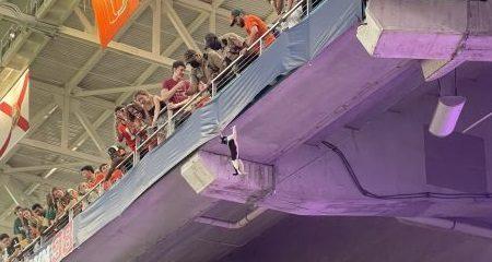 В Майами зрители спасли кота, который упал с верхнего яруса стадиона (видео)