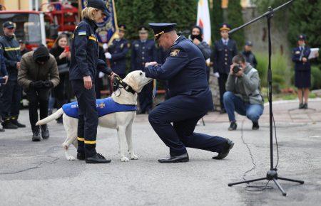 Спасатели торжественно проводили на пенсию лабрадора, который служил в ГСЧС (фото)