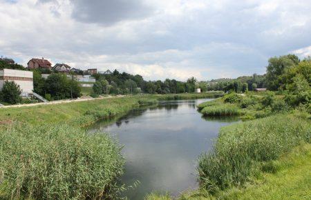 Новий парк для Києва не менш цінний, аніж міст — член ініціативної групи «За екопарк на Совських ставках»