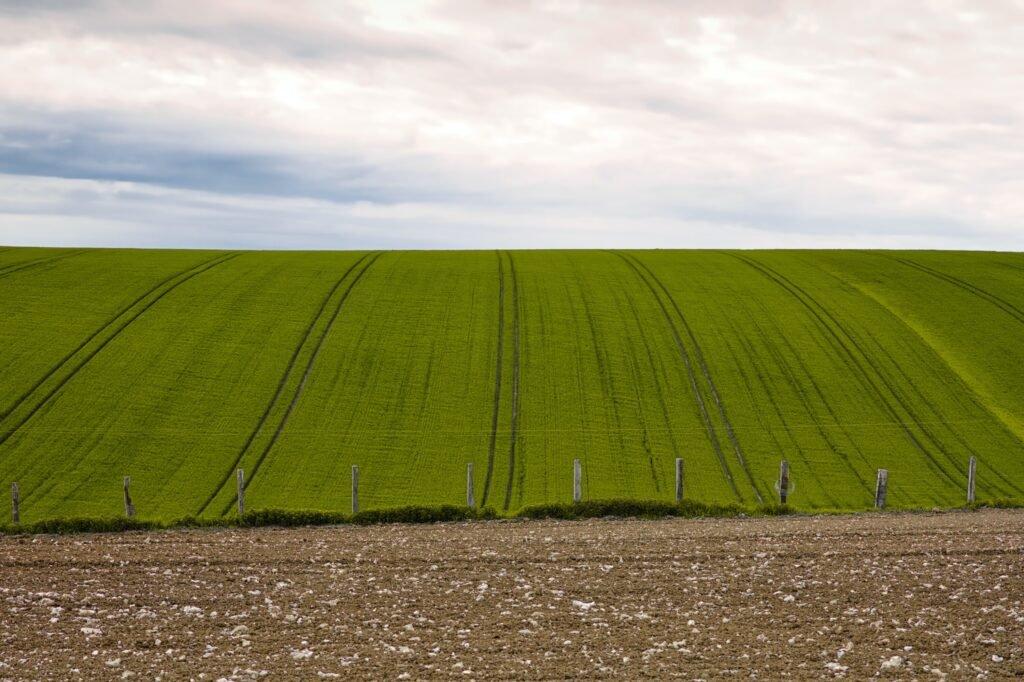 Ринок землі так чи інакше підтримують 53% українців — аналітик