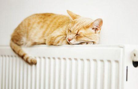 Жилые дома Киева начинают подключать к теплоснабжению — КГГА